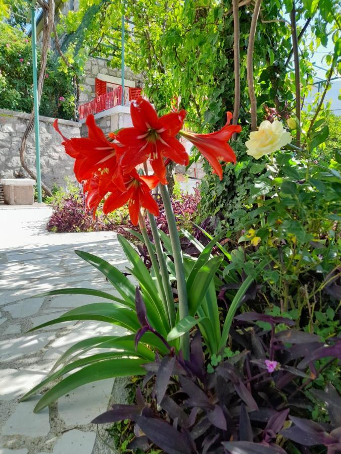 Stone House In Buljarica Vila Petrovac Exterior foto